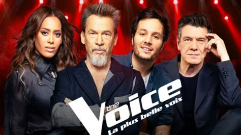 the voice 2021 france